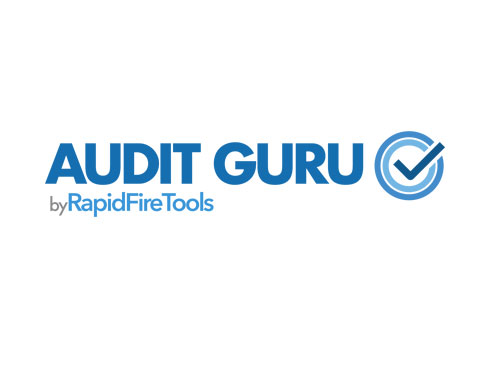 audit guru